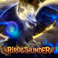 Bird of Thunder game image