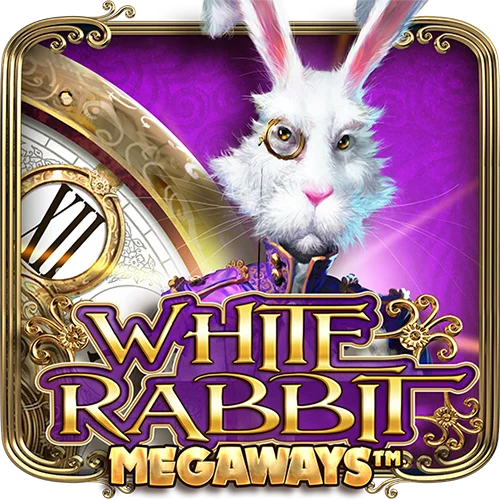 White Rabbit