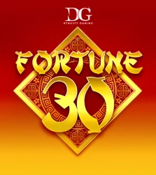 Fortune 30 Game